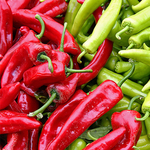 Chilli Recipes HD